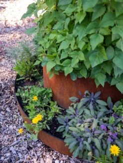 Birdies™ Corten Steel Tiered Round Raised Bed Kit, Tall -Garden Serie Store 8613245 0195