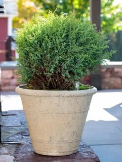 Self-Watering LavaStone® Anson Pot -Garden Serie Store 8613255 0144