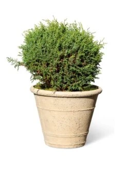 Self-Watering LavaStone® Anson Pot -Garden Serie Store 8613255 0150