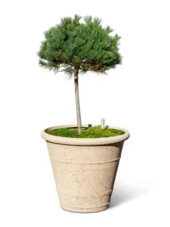 Self-Watering LavaStone® Anson Pot -Garden Serie Store 8613256 0138