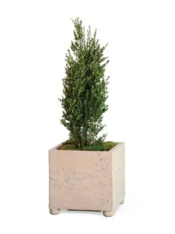 Self-Watering LavaStone® Modern Square -Garden Serie Store 8613258 26