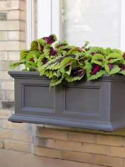Fairfield Self-Watering Window Box, 2’ -Garden Serie Store 8613268 08V tif