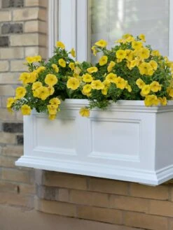 Fairfield Self-Watering Window Box, 2’ -Garden Serie Store 8613268 11V tif