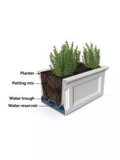 Fairfield Self-Watering Elevated Garden Bed 17 Fairfield Self-Watering Elevated Garden Bed -Garden Serie Store 8613283 07V 3 4