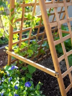Bambo A Frame Plant Support, 30" X 42.5" -Garden Serie Store 8613310 6556