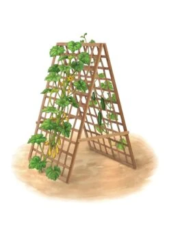 Bambo A Frame Plant Support, 30" X 42.5" -Garden Serie Store 8613310 art flat