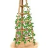 Cedar Obelisk, 8' 2 Cedar Obelisk, 8' -Garden Serie Store 8613322 art flat wooden obelisk