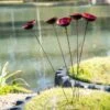 Red Poppy Sways, Set Of 5 -Garden Serie Store 8613343 2 red poppy sways set of 5