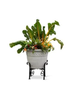Covington Adjustable Plant Stands -Garden Serie Store 8613347 0119
