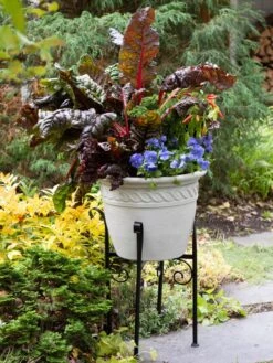Covington Adjustable Plant Stands -Garden Serie Store 8613348 0114