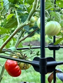 Oasis Self-Watering Tomato Planter With Trellis 17 Oasis Self-Watering Tomato Planter With Trellis -Garden Serie Store 8613440 01TEST