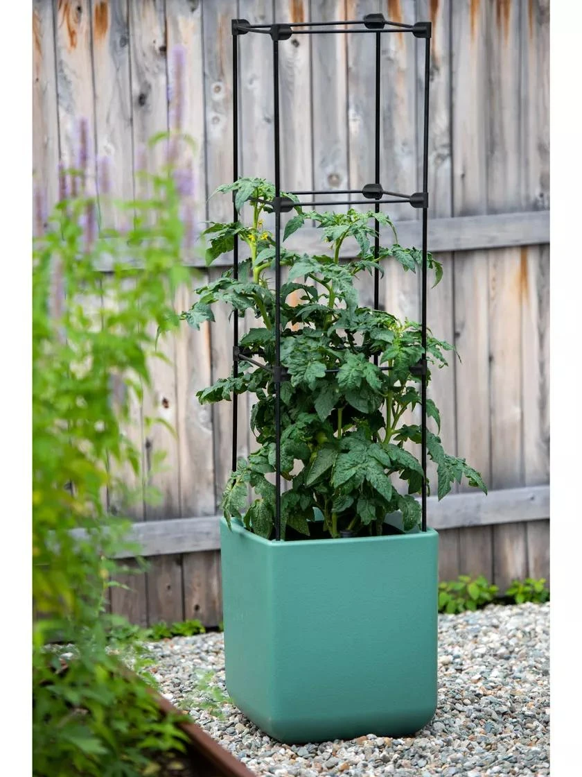 Oasis Self-Watering Tomato Planter With Trellis 7 Oasis Self-Watering Tomato Planter With Trellis - Image 5