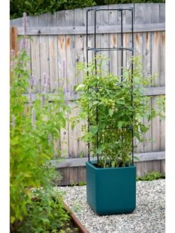 Oasis Self-Watering Tomato Planter With Trellis 15 Oasis Self-Watering Tomato Planter With Trellis -Garden Serie Store 8613440 0376 3 4