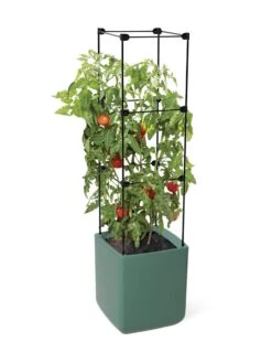 Oasis Self-Watering Tomato Planter With Trellis 13 Oasis Self-Watering Tomato Planter With Trellis -Garden Serie Store 8613440 06134