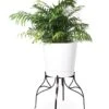 Aubrey Adjustable Plant Stand -Garden Serie Store 8613454 5716 aubrey adjustable plant stand