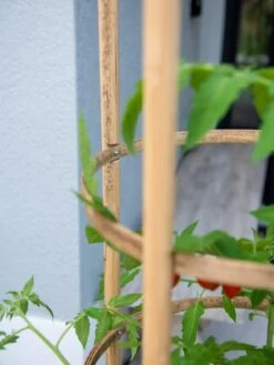 Elevated Bamboo Tomato Planter And Trellis -Garden Serie Store 8613502 0423