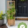 Elevated Bamboo Tomato Planter And Trellis 1 Elevated Bamboo Tomato Planter And Trellis -Garden Serie Store 8613502 13