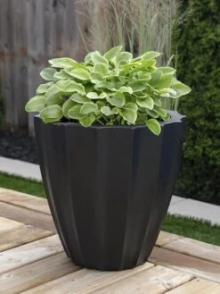 Sedona Round Planter, 18" Diameter 11 Sedona Round Planter, 18" Diameter -Garden Serie Store 8613526 01V