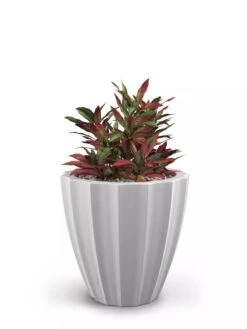 Sedona Round Planter, 18" Diameter 13 Sedona Round Planter, 18" Diameter -Garden Serie Store 8613526 05V