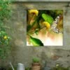 Butterfly Kiss Outdoor Wall Art 1 Butterfly Kiss Outdoor Wall Art -Garden Serie Store 8613998 02V butterfly kiss outdoor wall art