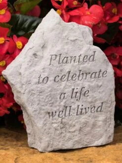 Planted To Celebrate A Life Well Lived Memorial Stone