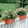 2' X 4' Railing Planter, 25" -Garden Serie Store GS34336 01 24 inch 2x6 railing planters