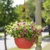 Self-Watering Hanging Basket 1 Self-Watering Hanging Basket -Garden Serie Store GS34368 10 tif