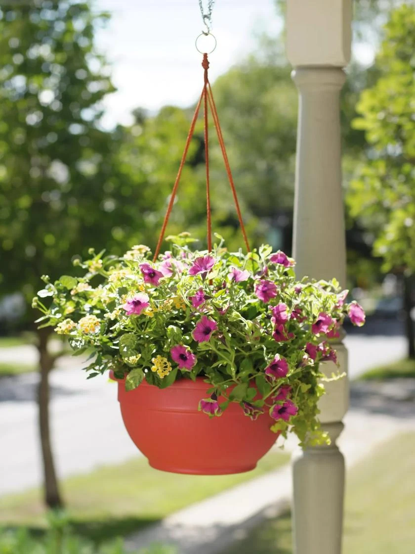 Self-Watering Hanging Basket 3 Self-Watering Hanging Basket