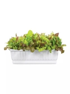 31" Self-Watering Window Box 7 31" Self-Watering Window Box -Garden Serie Store GS36523 01Z 3 4