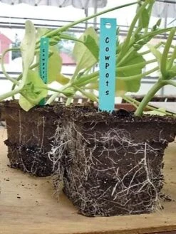 2-3/4" Square Cowpots 6-Packs, Set Of 4 -Garden Serie Store GS37034 05