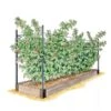 Raspberry Bed -Garden Serie Store GS39389 01S 1