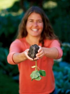 Deep Root Seedstarting System, Black -Garden Serie Store GSCOVSPR06D2 01