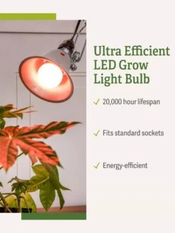 Miracle LED® Absolute Daylight™ Max Flowering Grow Light Bulb -Garden Serie Store Miracle Daylight Bulb 1
