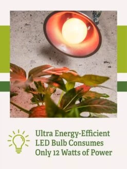 Miracle LED® Absolute Daylight™ Max Flowering Grow Light Bulb -Garden Serie Store Miracle Daylight Bulb 2