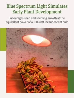 Miracle LED® Absolute Daylight™ Max Flowering Grow Light Bulb -Garden Serie Store Miracle Daylight Bulb 4