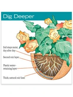 AquaSav™ Replacement Liners, Set Of 3 -Garden Serie Store hiw 38 583