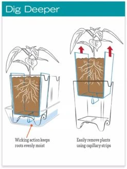 Stoneware Self-Watering Windowsill Planters, Set Of 2 -Garden Serie Store hiw 8593943 jpg